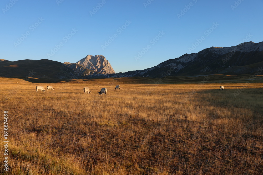 Fototapeta premium mountain landscape with lake