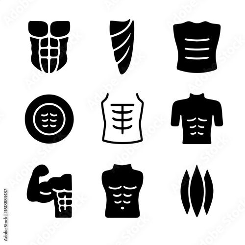 Abdominal Muscle Icons. Solid, filled icon set of abdominal muscle anatomy: six-pack abs, rectus abdominis, oblique muscle,