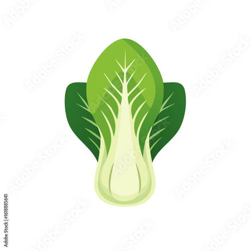 Fresh bok choy against plain background. The vibrant greens of the leaves contrast beautifully, making it a great illustration of fresh and healthy ingredients