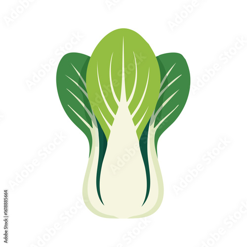 Fresh bok choy, a vibrant vegetable perfect for healthy eating