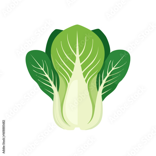 Fresh green bok choy against a clean background, showcasing its vibrant color and healthy appearance