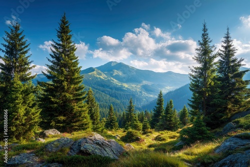 Wallpaper Mural Mountain scene with green trees rocks grass and a large mountain range in the background under a blue cloudy sky Torontodigital.ca