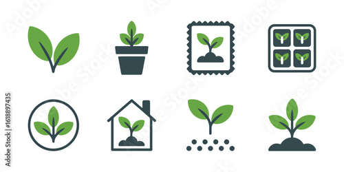 Green sprouts and seedlings in various garden settings