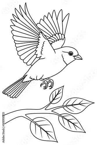 Flying bird coloring page featuring an elegant bird spreading its wings above a leafy branch, illustrated in clean black-and-white line art style for kids and adult coloring activities.