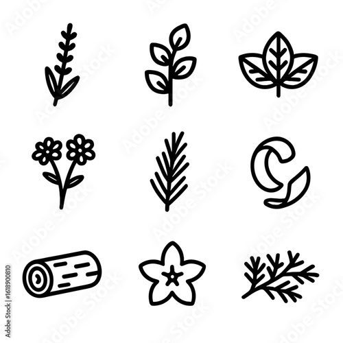 Aromatic Plant Icons. Solid, filled icon set of aromatic plants: lavender sprig, eucalyptus branch, peppermint leaves, chamomile