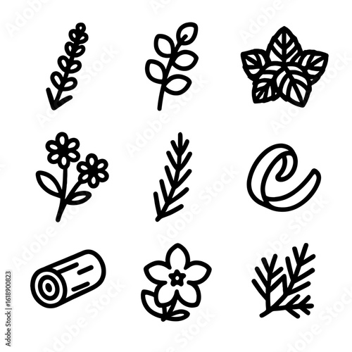Aromatic Plant Icons. Solid, filled icon set of aromatic plants: lavender sprig, eucalyptus branch, peppermint leaves, chamomile
