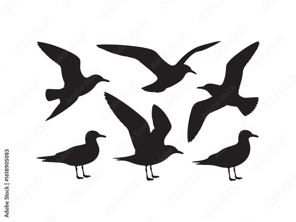 Obraz premium Collection of seagull silhouettes in flight and perched isolated on white background