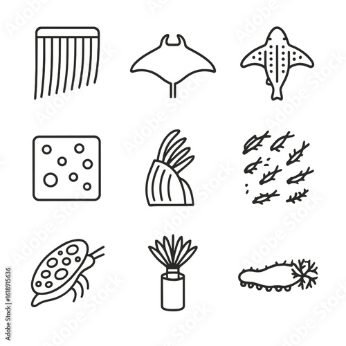 Filter-Feeding Icons Set. Outline icon set of Filter-feeding adaptations: baleen whale baleen plates, manta ray cephalic fins,