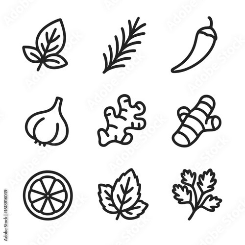 Herb and Spice Icons. Outline icon set of herb and spice pairings: basil leaf, rosemary sprig, chili pepper, garlic clove, ginger