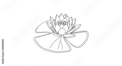 Outline drawing of a water lily on a calm surface  