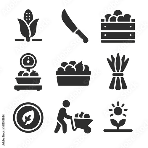 Harvest Stages Icons. Solid, filled icons set of harvesting stages for row crops: mature vegetable, harvesting