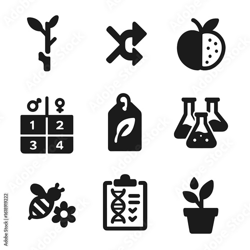 Hybridization Icon Set. Solid, filled icons set of crossbreeding and hybridization processes: plant graft icon