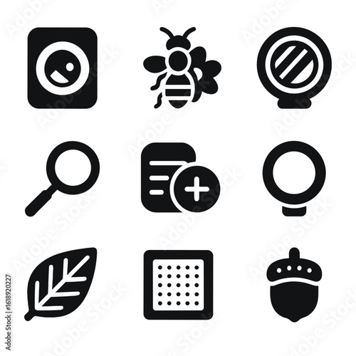 Macro Photography Icons. Solid, filled icons set of macro photography: extreme close-up icon, insect on flower