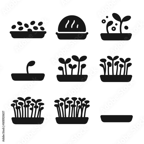 Microgreen Growth Icons. Solid, filled icons set of microgreen time-lapse growth stages: day 1 seeds, moist