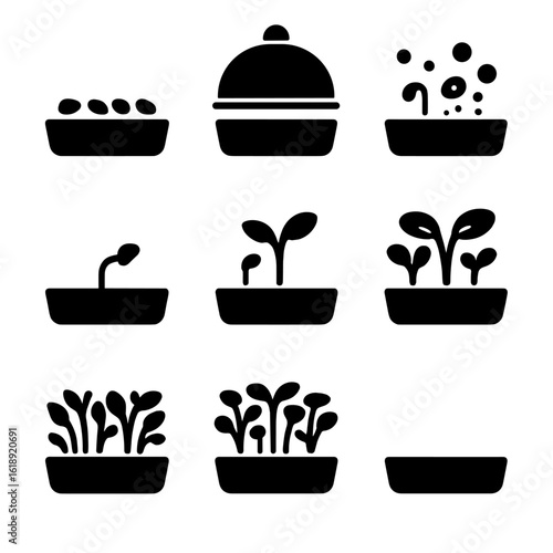 Microgreens Growth Icons. Solid, filled icons set of microgreen time-lapse growth stages: day 1 seeds, moist