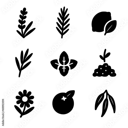Essential Oil Icons. Solid, filled icon set of common essential oils: lavender, rosemary, lemon, tea tree, peppermint,