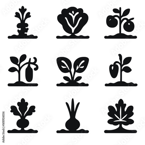 Vegetable Icon Grid. Solid, filled icons set of vegetable crop varieties planted in rows: carrot top, lettuce