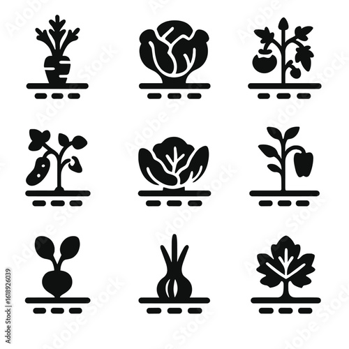Vegetable Icon Grid. Solid, filled icons set of vegetable crop varieties planted in rows: carrot top, lettuce
