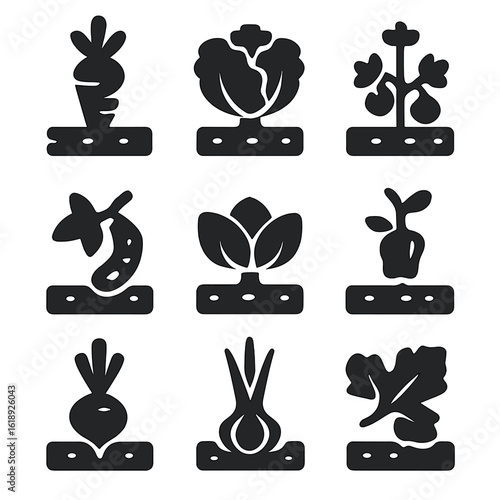 Vegetable Icon Grid. Solid, filled icons set of vegetable crop varieties planted in rows: carrot top, lettuce
