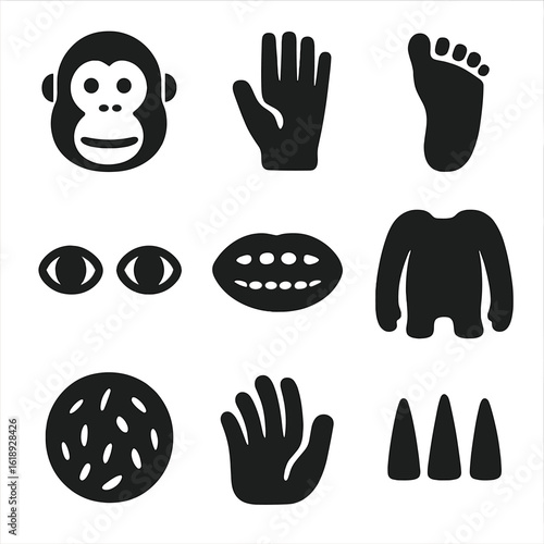 Orangutan Anatomy Icons. Solid, filled icon set of orangutan anatomy: face, hand, foot, eyes, mouth, torso, fur texture, fingers,