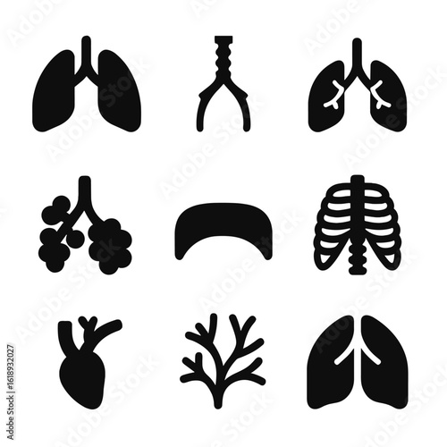 Lung Anatomy Icons. Solid, filled icon set of lung anatomy basics: lungs, trachea, bronchi, alveoli, diaphragm, rib cage,