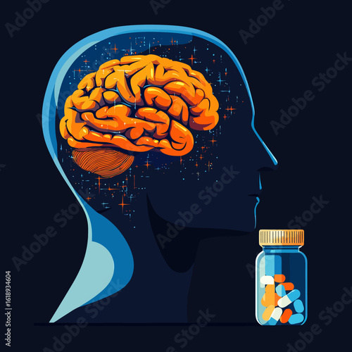 human brain anatomy