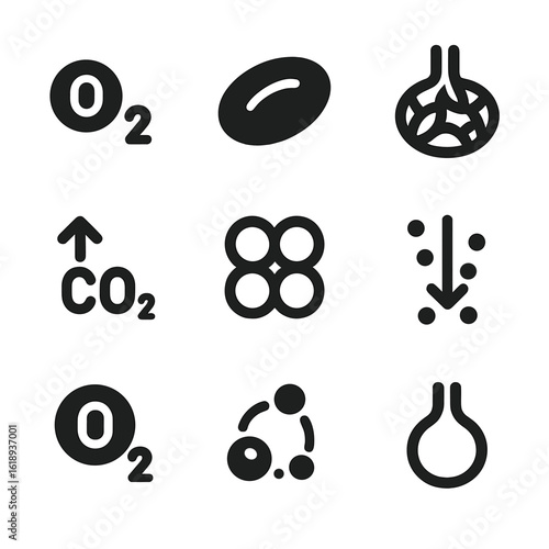 Oxygen Transport Icons. Solid, filled icon set of oxygen transport and gas exchange: oxygen molecule, red blood cell, alveolar