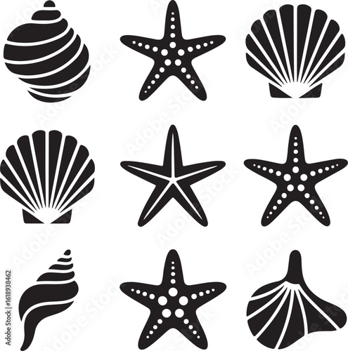 Black and white graphic icons of seashells and starfishes