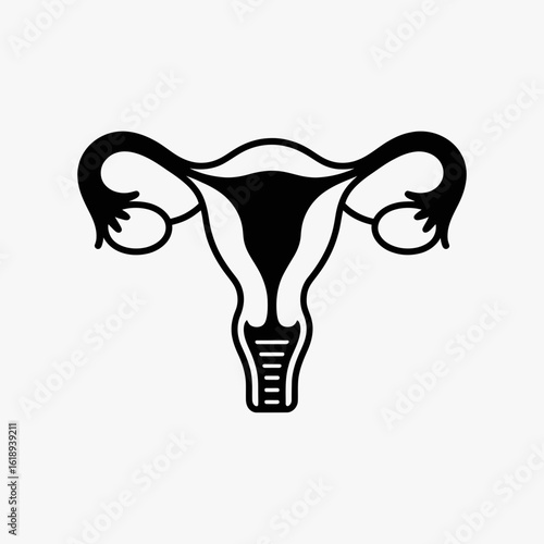 uterus, female, anatomy, reproductive, health, icon, vector, outline, gynecology, womb, fertility, ovary, organ, biology, medical, diagram, structure, woman, pelvic, system, cervix, menstrual, pregnan