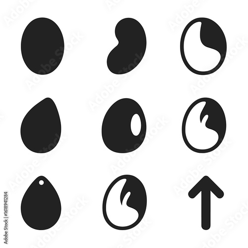 Seed Anatomy Icons. Solid, filled icons set of seed anatomy: seed coat, embryo, endosperm, cotyledon, hilum