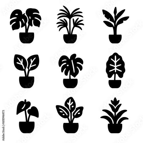 Tropical Plant Icons. Solid, filled icons set of popular tropical indoor plants: monstera deliciosa, areca