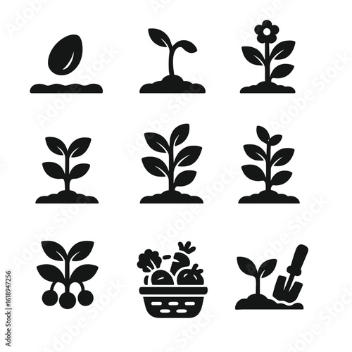 Vegetable Growth Icons. Solid, filled icons set of vegetable planting stages: seed, sprout, seedling, young