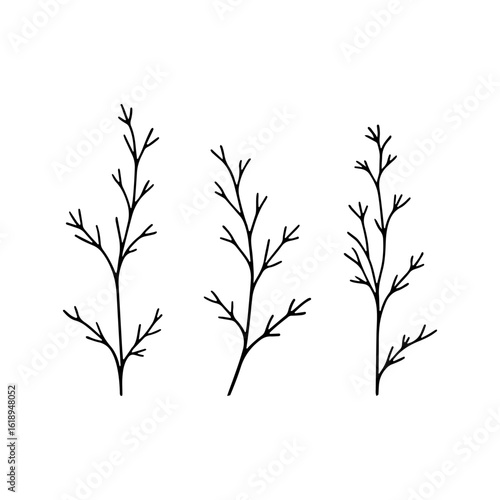 Minimal Botanical Twig Illustration Set. A simple and elegant set of vertical plant branches with fine lines and a natural feel.