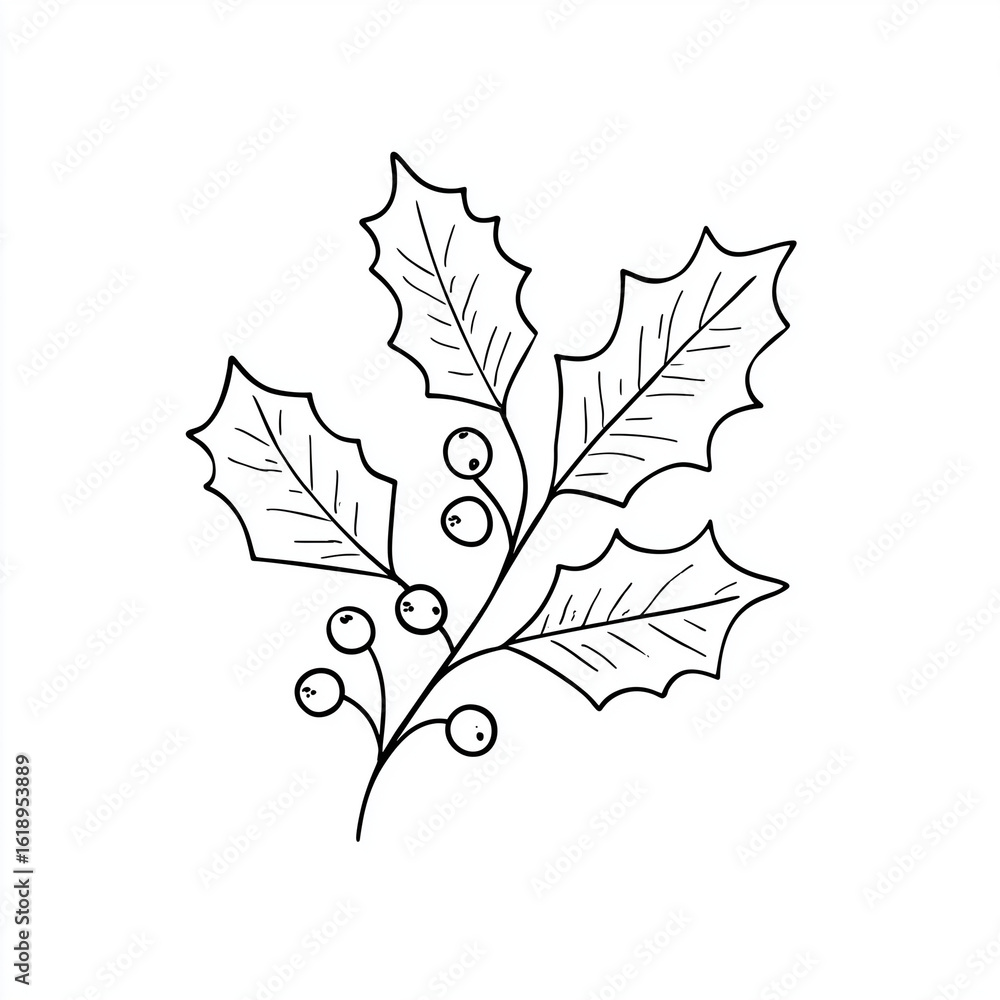 Fototapeta premium holly berry drawing on white background