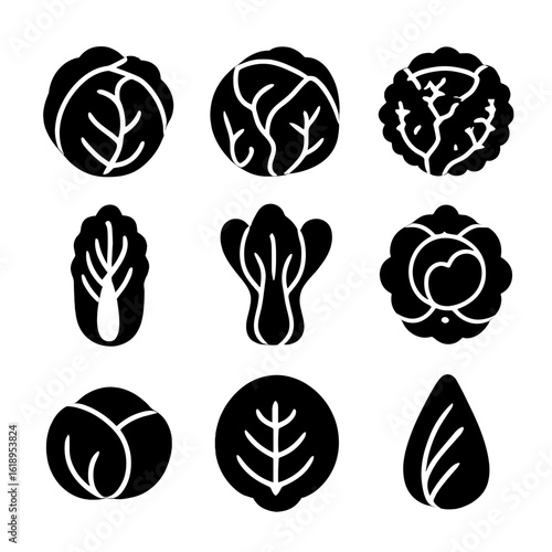 Cabbage Icon Grid. Solid, filled icon set of cabbage types: green cabbage, red cabbage, savoy cabbage, napa cabbage, bok choy,