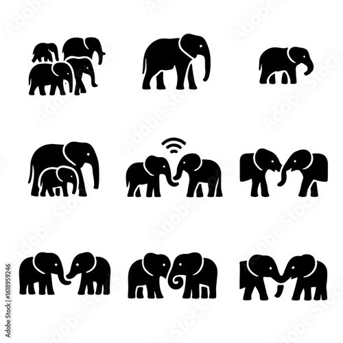 Elephant Social Structure Icons. Solid, filled icon set of elephant social structure: herd, matriarch, baby, male, family group,
