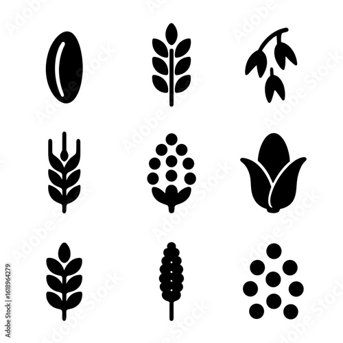 Grain Icons Grid. Solid, filled icon set of grains: rice, wheat, oats, barley, quinoa, corn, buckwheat, millet, couscous. Line