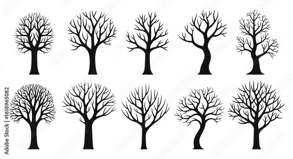 Obraz premium Bare deciduous trees collection black and white silhouettes bare trees