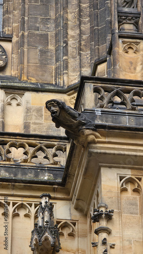 Gargoyle Detail at St. Vitus Cathedral