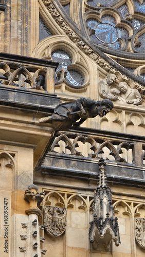Gargoyle and Relief on Gothic Cathedral Wall