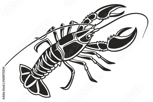 crayfish vector illustration