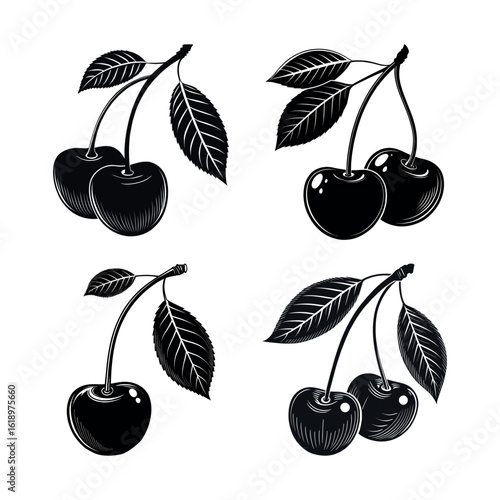 Four stylized black and white illustrations of cherries on branches