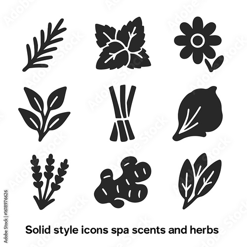 Herbal Spa Icons. Solid style icons of spa scents and herbs: rosemary sprig, mint leaf bundle, chamomile flower icon, eucalyptus