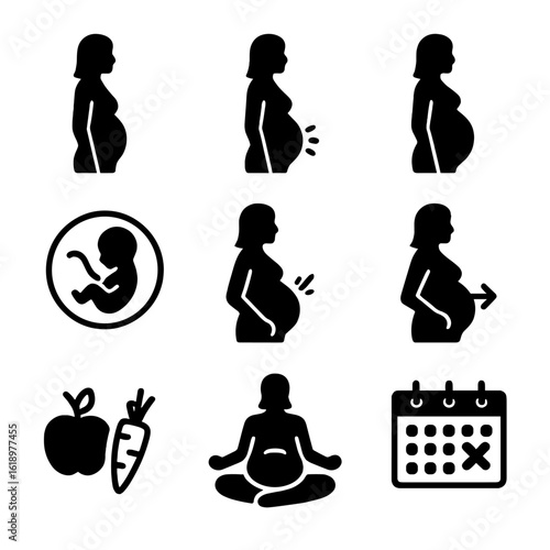 Pregnancy Stages Icons. Solid, filled icon set of pregnancy stages: first trimester, second trimester, third trimester, fetal