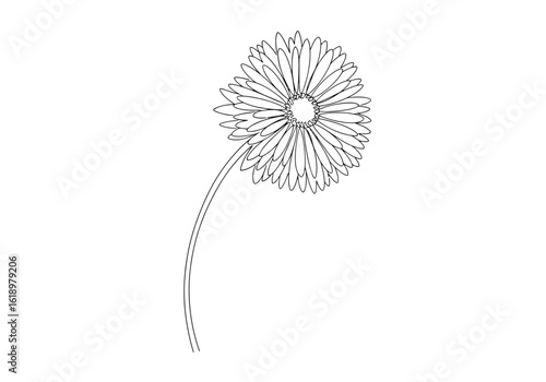 Vector illustration of a single daisy flower outline with a curved stem, isolated on a white background