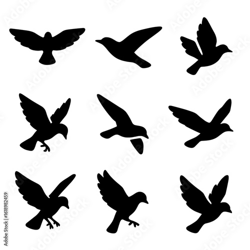 Bird Flight Icons. Solid style icons of bird flight poses: wings spread, gliding bird, bird mid-flap, bird diving, soaring bird,