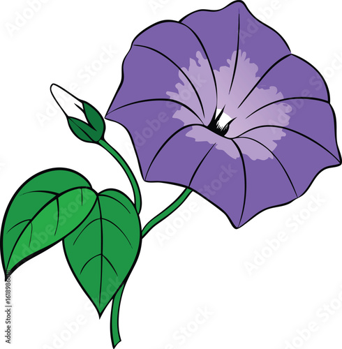 Pink blossom on a beautiful stem with a verdant leaf isolated on a white background