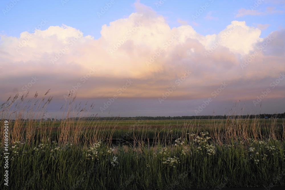 Fototapeta premium Sommerabend an einem Fleet in NOrddeutschland