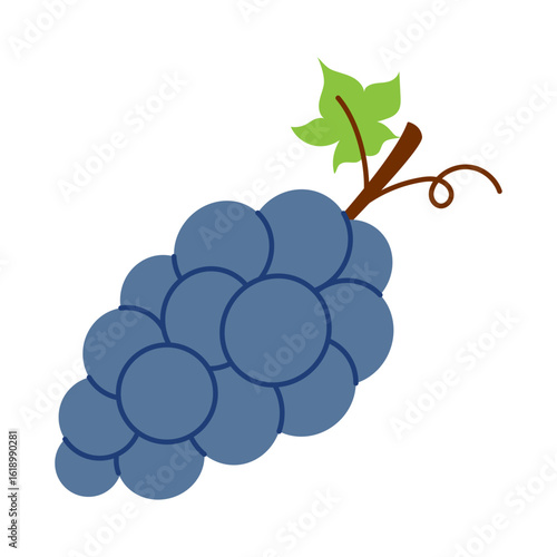 Vector illustration of purple grape bunch. Juicy vine fruit in flat design. Fresh food clipart. Cute grape.