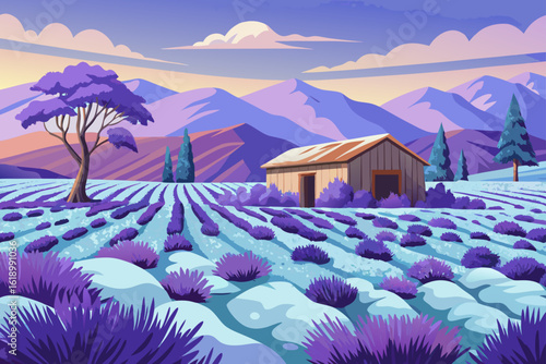 Snowy View Of A Lavender Field With A Abandoned Shack